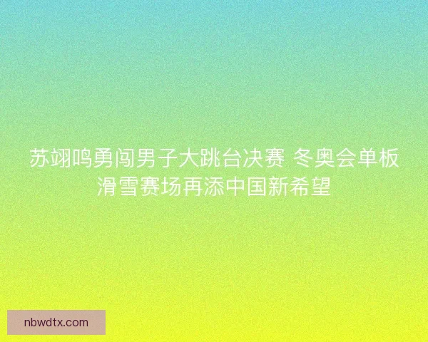 苏翊鸣勇闯男子大跳台决赛 冬奥会单板滑雪赛场再添中国新希望